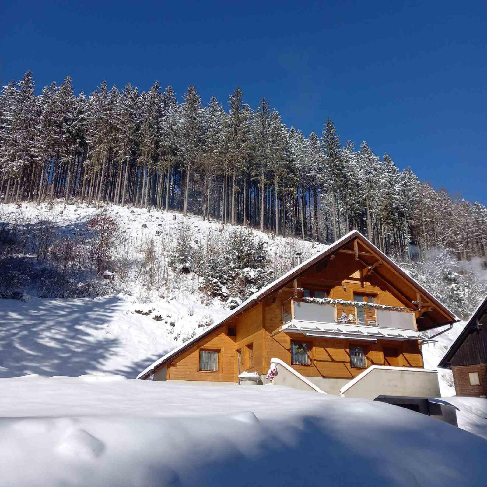 Hisa Lunna - Apartments In A Forest Paradise Vitanje Exteriér fotografie